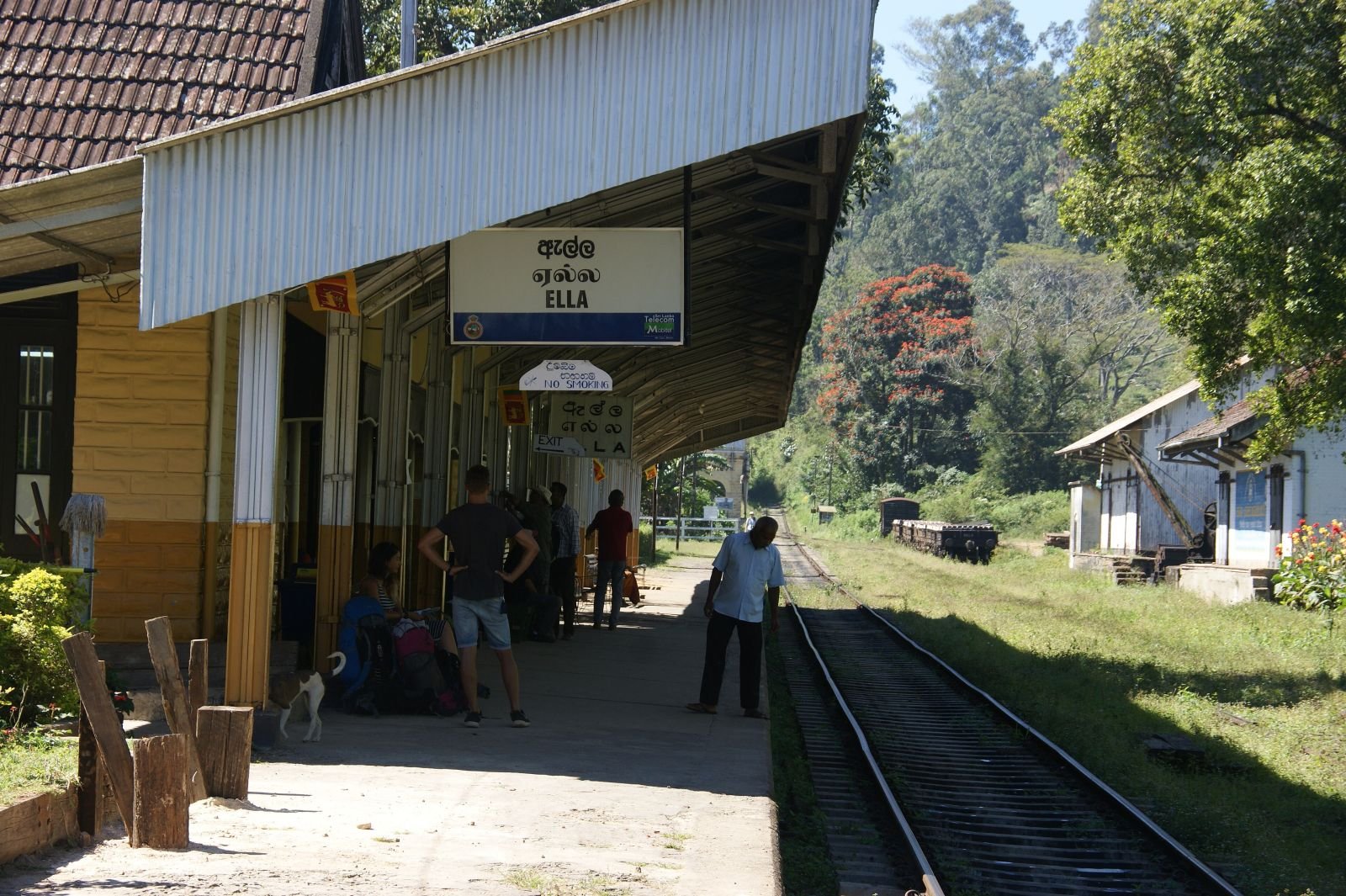 7 Days in Sri Lanka: The Perfect First-Timer Route