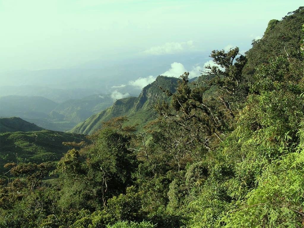 When to Visit Sri Lanka: A Month-by-Month Monsoon Guide