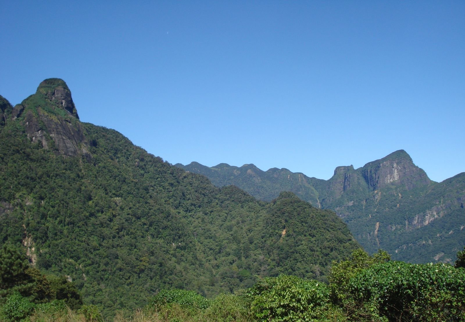 Knuckles Trek & Village Homestay